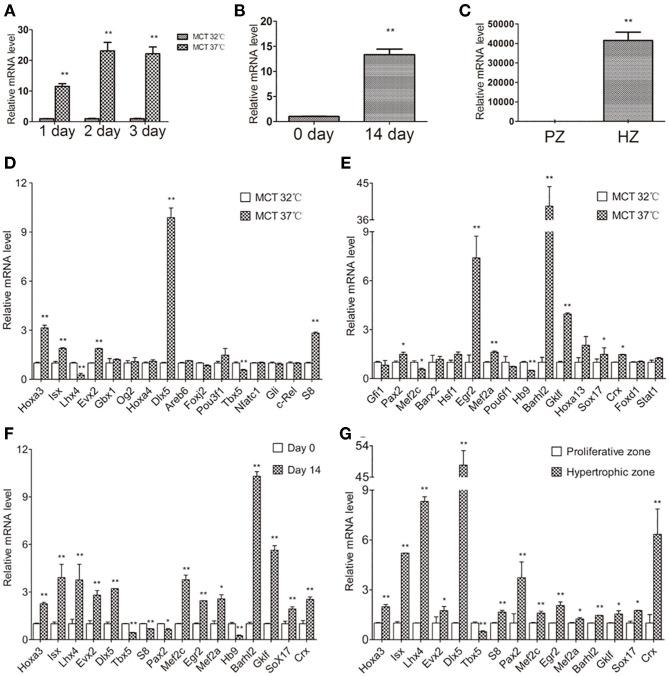 https://cdn.ncbi.nlm.nih.gov/pmc/blobs/406f/8283764/a5869b62d01e/fgene-12-683939-g0002.jpg