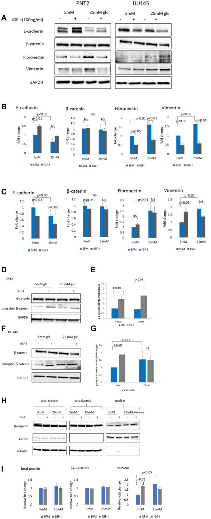 https://cdn.ncbi.nlm.nih.gov/pmc/blobs/4073/9882991/d54d8fe804c2/oncotarget-14-28344-g001.jpg