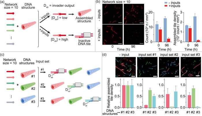 https://cdn.ncbi.nlm.nih.gov/pmc/blobs/4075/11848822/60e2b8b68811/ja4c13854_0004.jpg