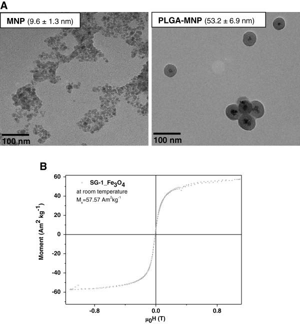 https://cdn.ncbi.nlm.nih.gov/pmc/blobs/4077/3563500/180a4c4cd737/1477-3155-11-1-2.jpg