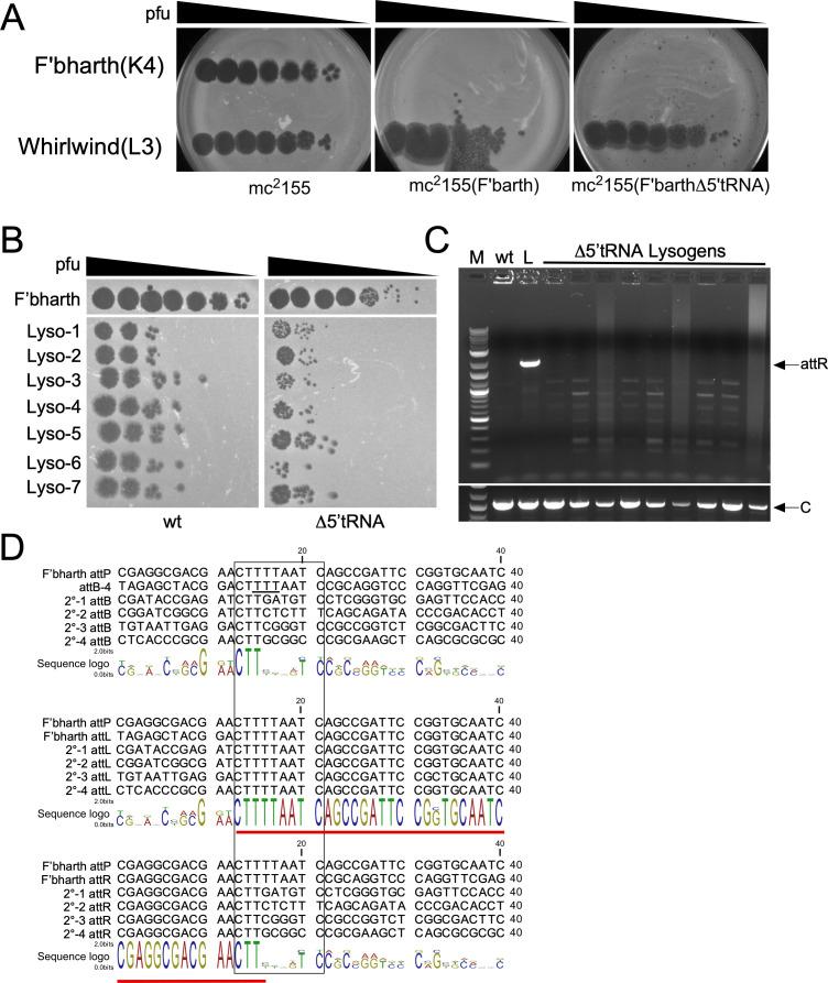 https://cdn.ncbi.nlm.nih.gov/pmc/blobs/407b/10865867/b8ed3a6813ea/mbio.03260-23.f004.jpg
