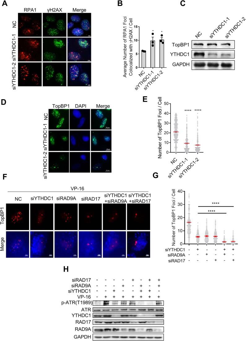 https://cdn.ncbi.nlm.nih.gov/pmc/blobs/407b/10883269/4d126c9d10fe/44318_2023_3_Fig10_ESM.jpg