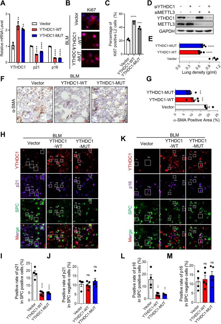 https://cdn.ncbi.nlm.nih.gov/pmc/blobs/407b/10883269/53d24b083bc5/44318_2023_3_Fig8_ESM.jpg