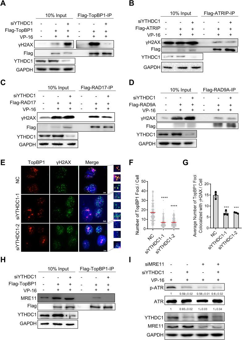 https://cdn.ncbi.nlm.nih.gov/pmc/blobs/407b/10883269/5e99aee57128/44318_2023_3_Fig4_HTML.jpg
