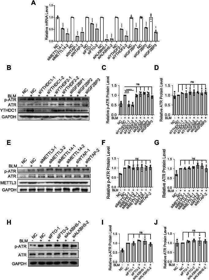 https://cdn.ncbi.nlm.nih.gov/pmc/blobs/407b/10883269/769485cf1254/44318_2023_3_Fig9_ESM.jpg