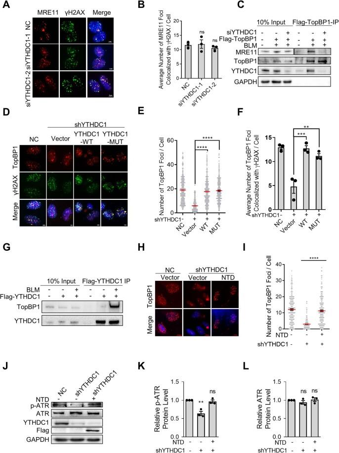 https://cdn.ncbi.nlm.nih.gov/pmc/blobs/407b/10883269/b22a21cbf109/44318_2023_3_Fig11_ESM.jpg