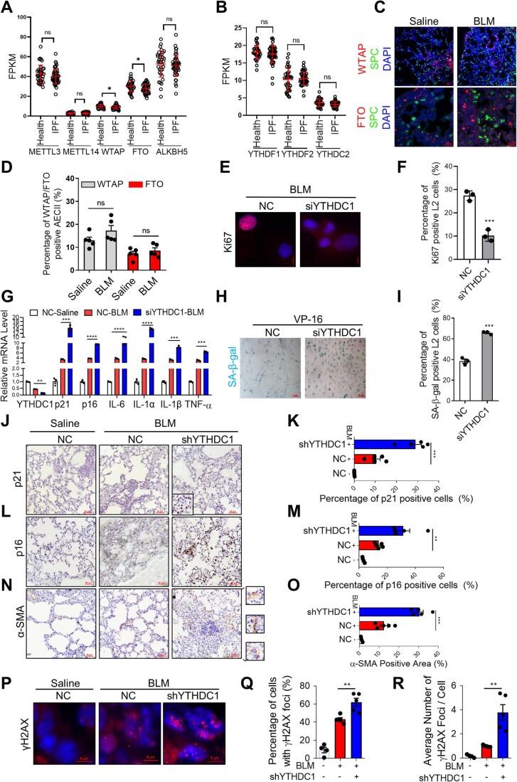 https://cdn.ncbi.nlm.nih.gov/pmc/blobs/407b/10883269/c3cc40ce878f/44318_2023_3_Fig7_ESM.jpg