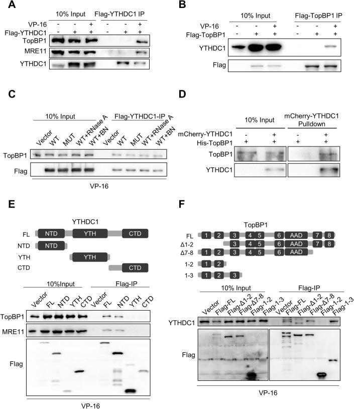 https://cdn.ncbi.nlm.nih.gov/pmc/blobs/407b/10883269/da9a0b46fcc5/44318_2023_3_Fig5_HTML.jpg