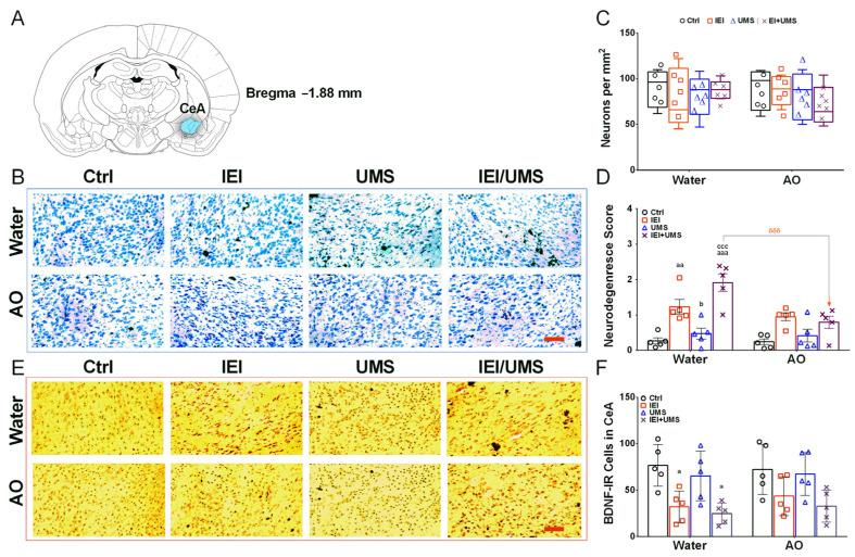 https://cdn.ncbi.nlm.nih.gov/pmc/blobs/407b/11476757/9153677f1955/ijms-25-10529-g003.jpg