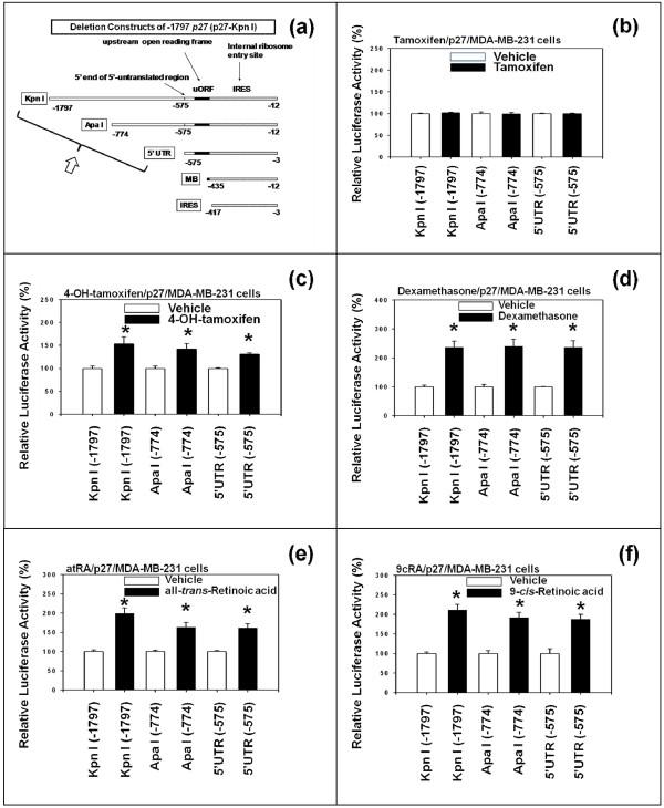 https://cdn.ncbi.nlm.nih.gov/pmc/blobs/407c/2841156/7a28c2895a4e/1475-2867-10-3-3.jpg