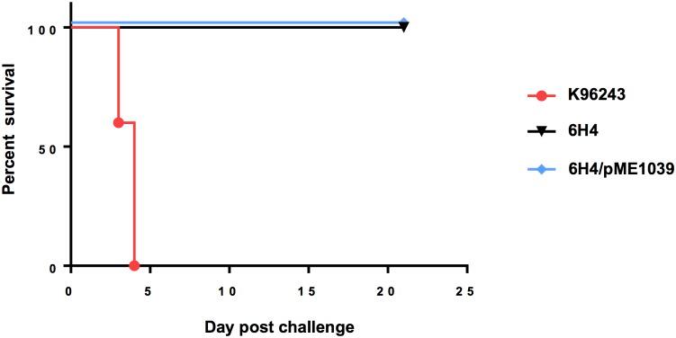 https://cdn.ncbi.nlm.nih.gov/pmc/blobs/407c/5957425/46a6c30804a7/pone.0196202.g006.jpg