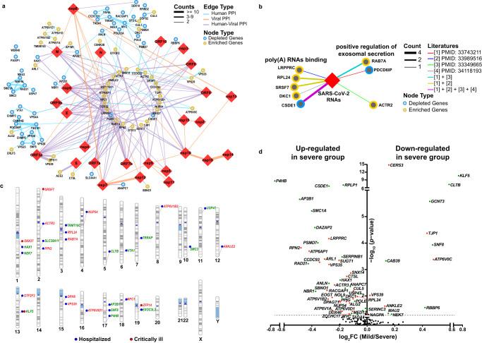 https://cdn.ncbi.nlm.nih.gov/pmc/blobs/407f/10761986/66206601720c/41467_2023_44175_Fig2_HTML.jpg