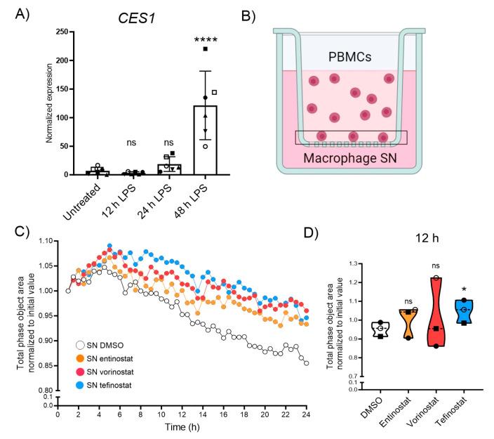 https://cdn.ncbi.nlm.nih.gov/pmc/blobs/4080/10741867/b5f2a76b5792/biomolecules-13-01696-g004.jpg