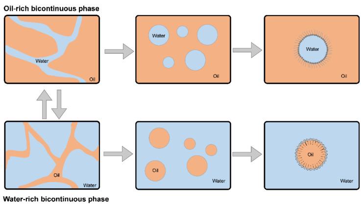 https://cdn.ncbi.nlm.nih.gov/pmc/blobs/4080/9028917/02dff360ed7e/bioengineering-09-00158-g002.jpg