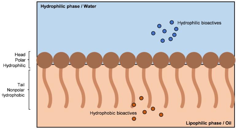 https://cdn.ncbi.nlm.nih.gov/pmc/blobs/4080/9028917/973dd85881ac/bioengineering-09-00158-g003.jpg
