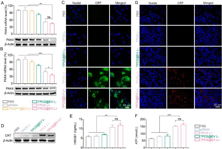 https://cdn.ncbi.nlm.nih.gov/pmc/blobs/4081/10501866/04e0bd40b56a/gr3.jpg