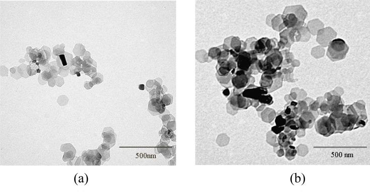 https://cdn.ncbi.nlm.nih.gov/pmc/blobs/4082/11471033/12b6aac65cea/13065_2024_1312_Fig1_HTML.jpg