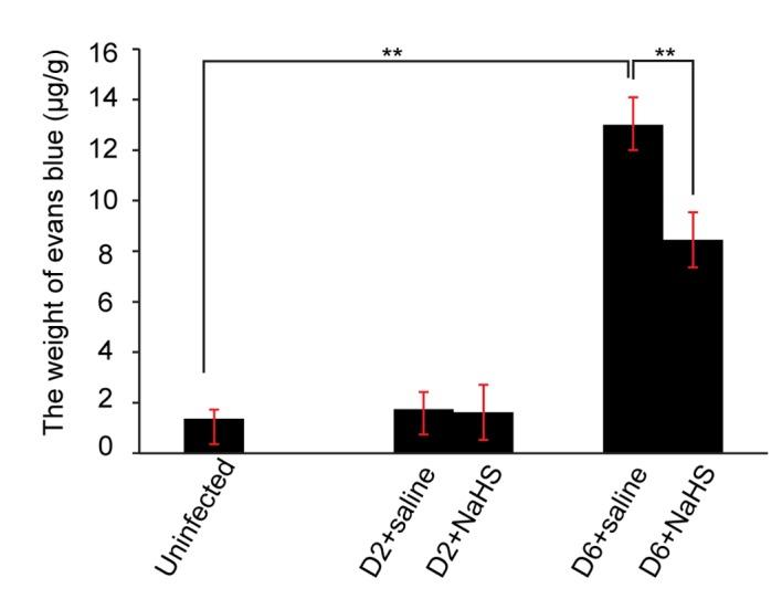 https://cdn.ncbi.nlm.nih.gov/pmc/blobs/4083/5561995/2a814efdb8c8/MMR-16-02-2045-g03.jpg