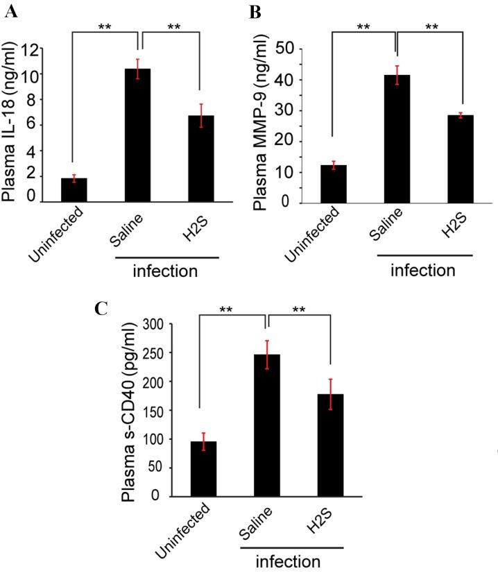 https://cdn.ncbi.nlm.nih.gov/pmc/blobs/4083/5561995/338627bc9397/MMR-16-02-2045-g04.jpg