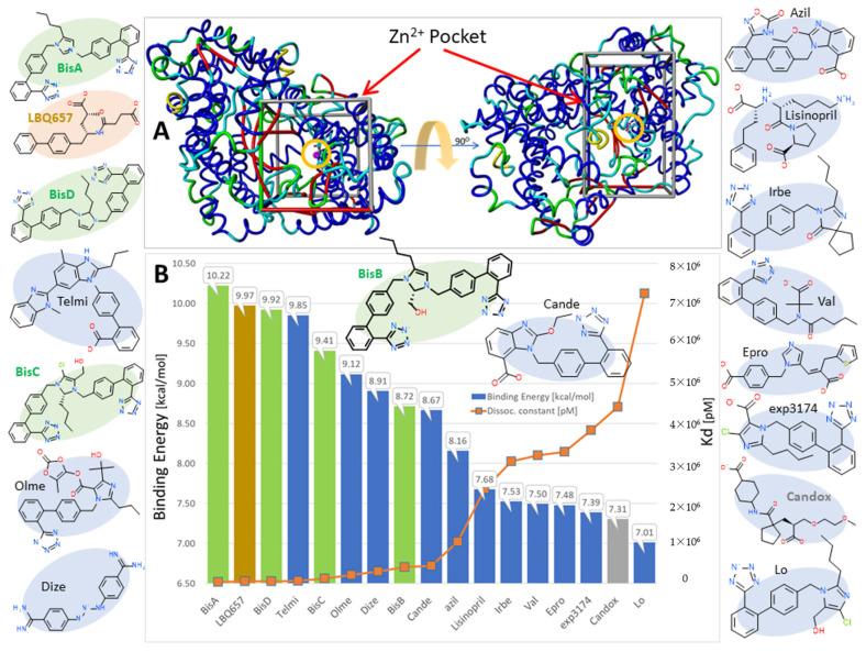 https://cdn.ncbi.nlm.nih.gov/pmc/blobs/4083/9369639/3a0a76b816dc/molecules-27-04854-g007.jpg