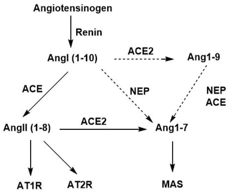 https://cdn.ncbi.nlm.nih.gov/pmc/blobs/4083/9369639/6f78acdfe7f5/molecules-27-04854-sch001.jpg
