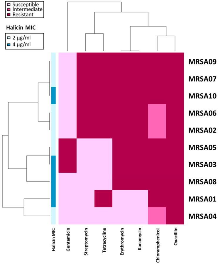 https://cdn.ncbi.nlm.nih.gov/pmc/blobs/4084/11429483/b372a7c05148/antibiotics-13-00906-g001.jpg