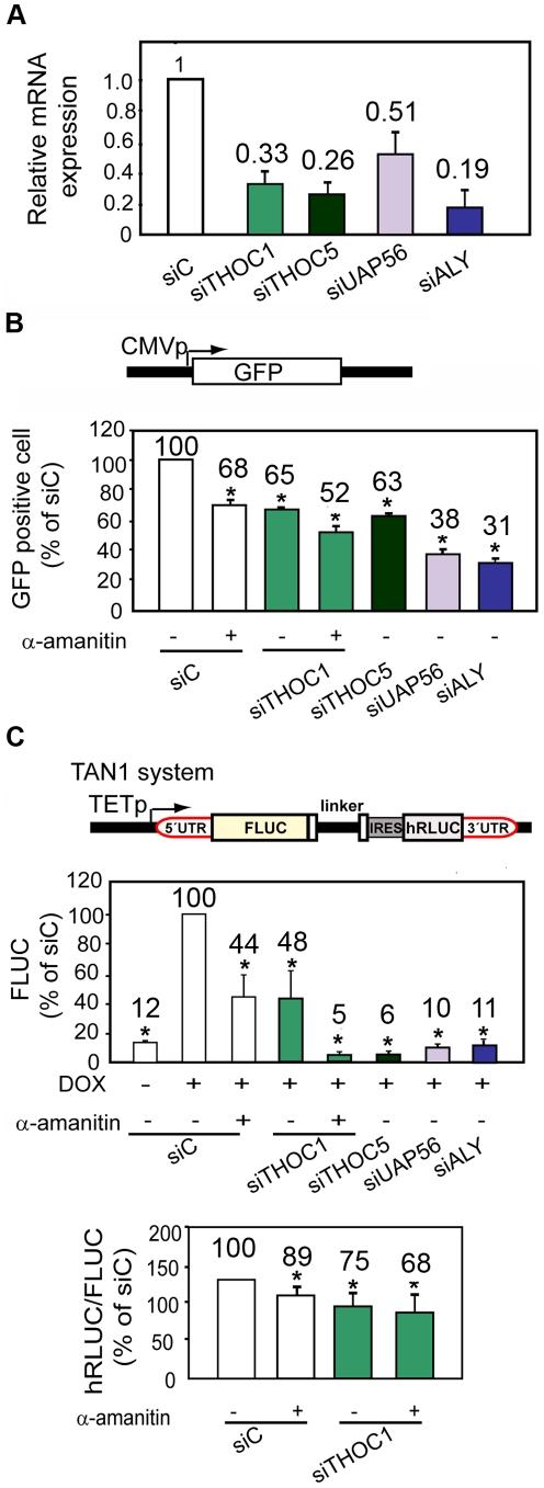 https://cdn.ncbi.nlm.nih.gov/pmc/blobs/4084/3228816/2da7814638b2/pgen.1002386.g001.jpg