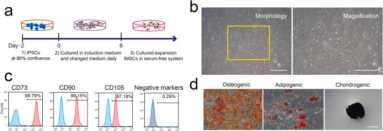 https://cdn.ncbi.nlm.nih.gov/pmc/blobs/4084/9840238/86ab9beccb37/gr2.jpg