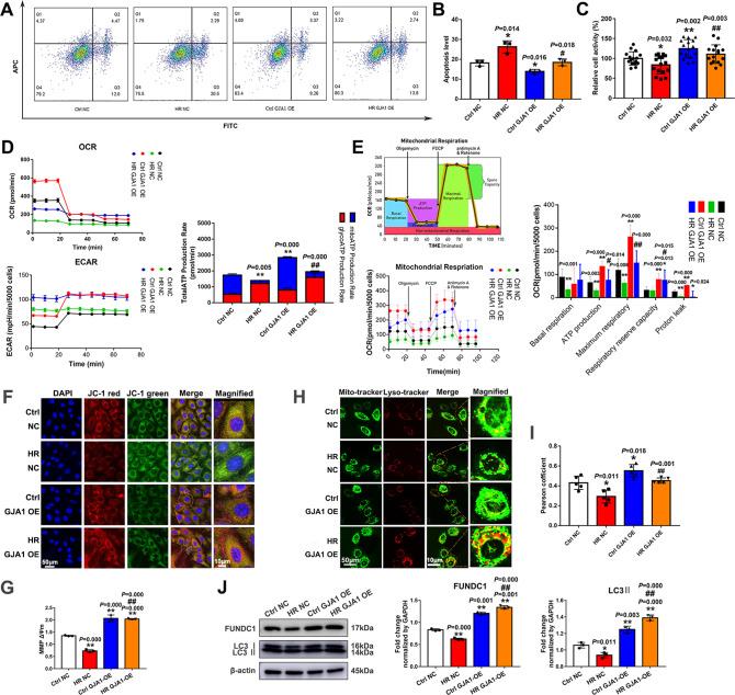 https://cdn.ncbi.nlm.nih.gov/pmc/blobs/4084/9968299/a3eac1ca4612/41420_2023_1372_Fig6_HTML.jpg