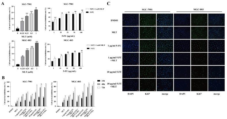 https://cdn.ncbi.nlm.nih.gov/pmc/blobs/4085/10539390/92dd811d850b/jcav14p2608g001.jpg