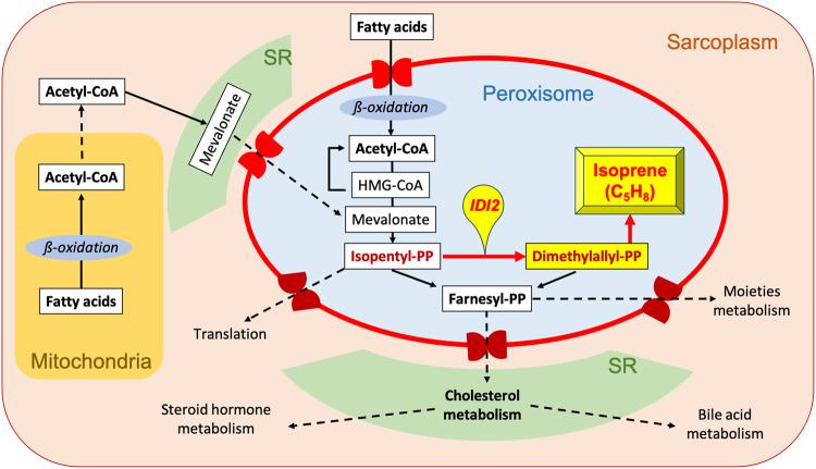 https://cdn.ncbi.nlm.nih.gov/pmc/blobs/4085/10542801/0cb9642867a2/42003_2023_5384_Fig5_HTML.jpg