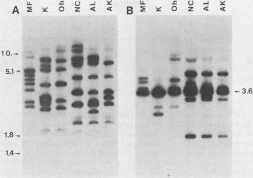 https://cdn.ncbi.nlm.nih.gov/pmc/blobs/4085/368779/2d17fa3b9af3/molcellb00146-0111-a.jpg