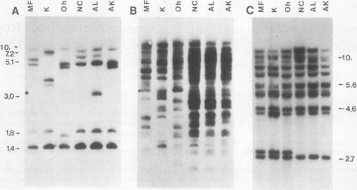 https://cdn.ncbi.nlm.nih.gov/pmc/blobs/4085/368779/a74623aed4e2/molcellb00146-0110-a.jpg