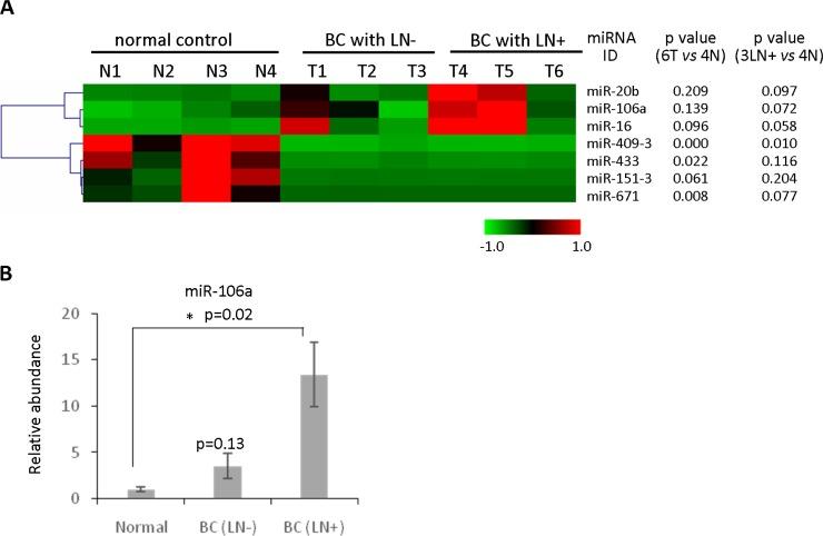 https://cdn.ncbi.nlm.nih.gov/pmc/blobs/4085/5008329/96c573d34e97/oncotarget-07-21865-g005.jpg