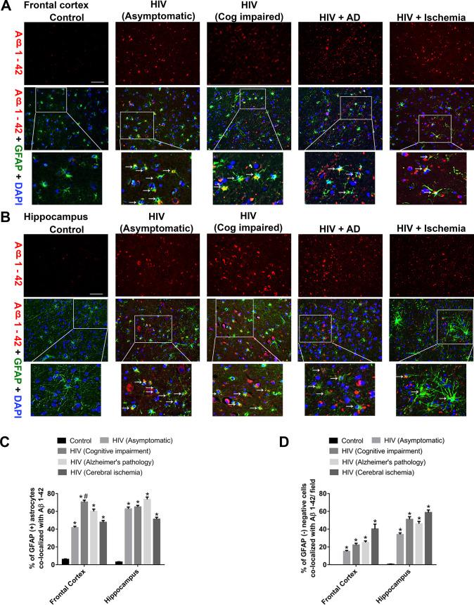 https://cdn.ncbi.nlm.nih.gov/pmc/blobs/4086/7274476/3b927168a17c/pbio.3000660.g002.jpg