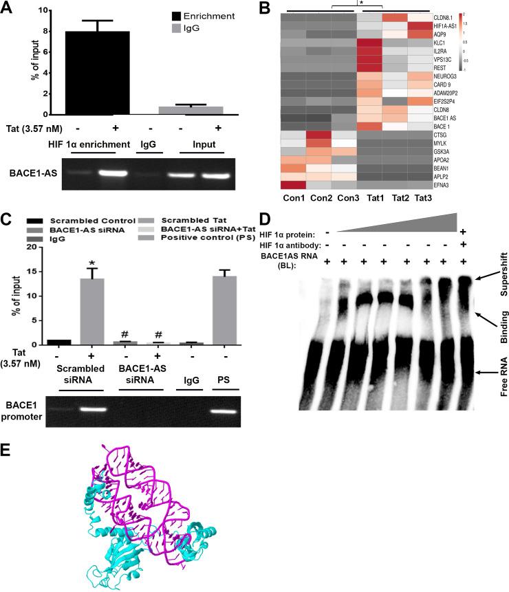 https://cdn.ncbi.nlm.nih.gov/pmc/blobs/4086/7274476/62028e326352/pbio.3000660.g009.jpg
