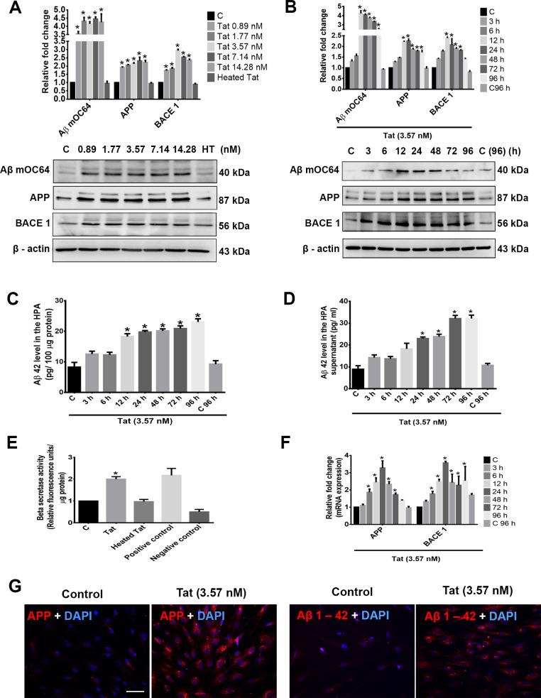 https://cdn.ncbi.nlm.nih.gov/pmc/blobs/4086/7274476/6c5d3f0df5a4/pbio.3000660.g005.jpg