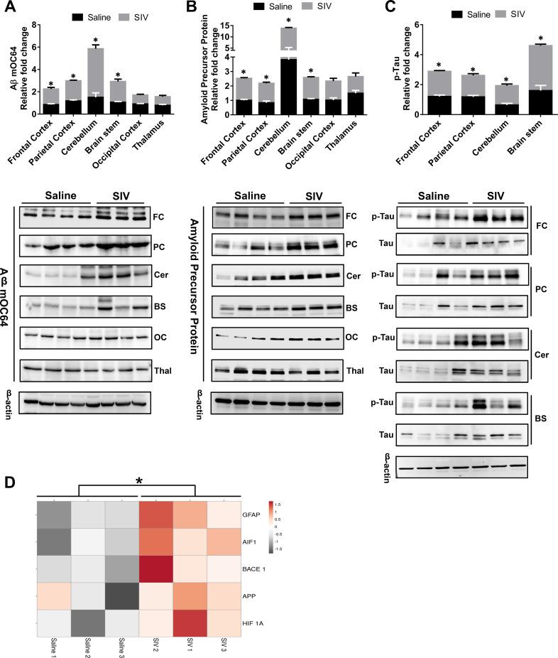 https://cdn.ncbi.nlm.nih.gov/pmc/blobs/4086/7274476/8364ef7a894d/pbio.3000660.g003.jpg