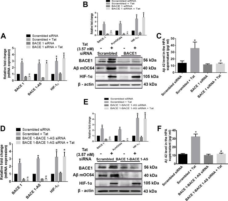 https://cdn.ncbi.nlm.nih.gov/pmc/blobs/4086/7274476/849f1d2fee5f/pbio.3000660.g008.jpg