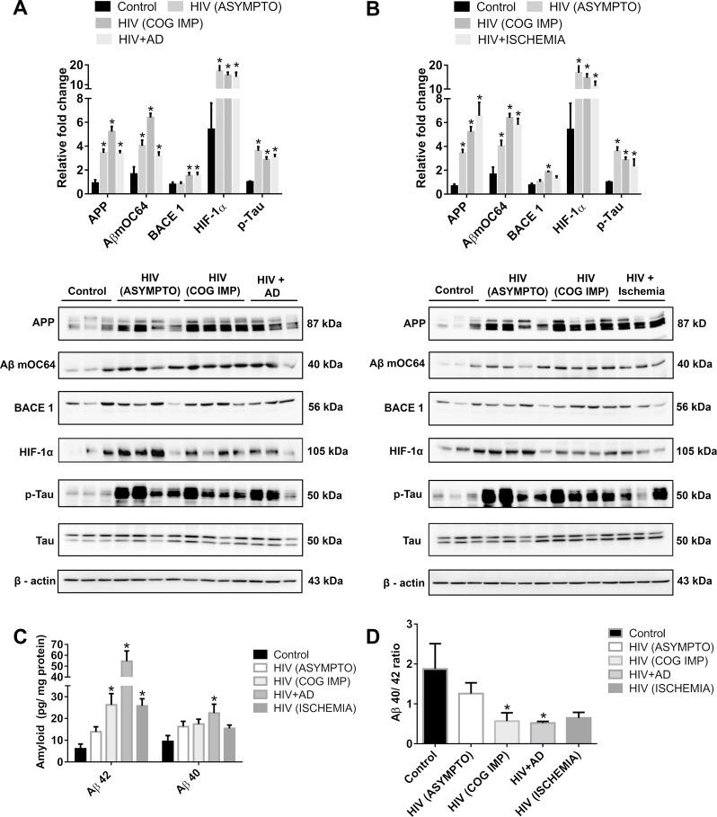 https://cdn.ncbi.nlm.nih.gov/pmc/blobs/4086/7274476/9528a78b8066/pbio.3000660.g001.jpg