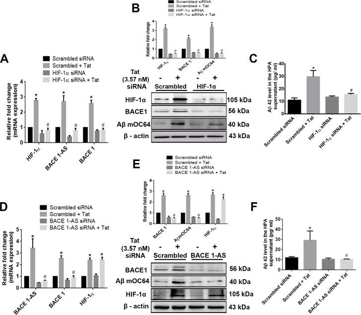 https://cdn.ncbi.nlm.nih.gov/pmc/blobs/4086/7274476/b42be28a058f/pbio.3000660.g007.jpg