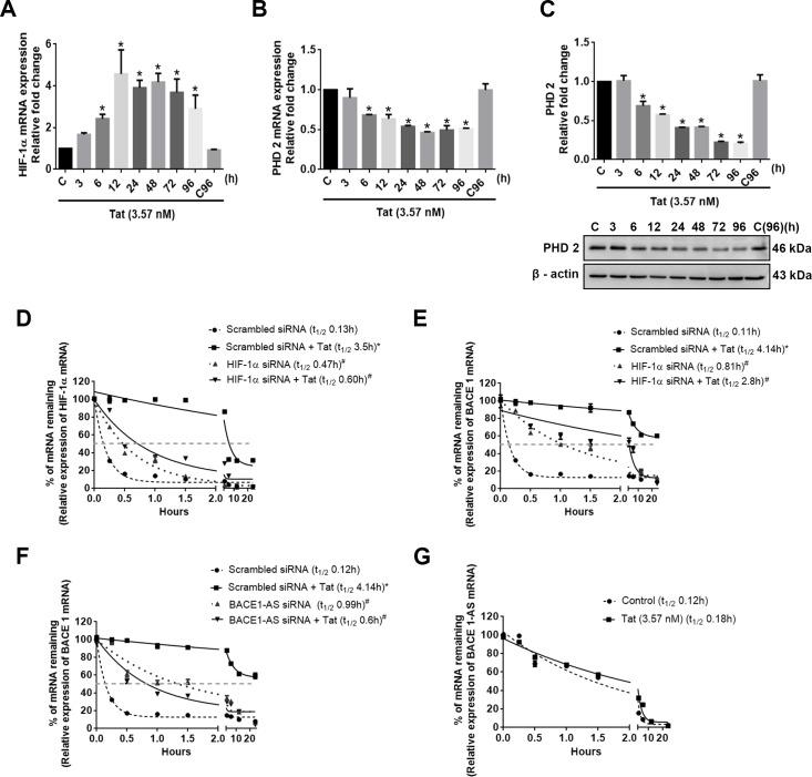 https://cdn.ncbi.nlm.nih.gov/pmc/blobs/4086/7274476/bf57e0d60704/pbio.3000660.g010.jpg