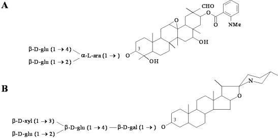https://cdn.ncbi.nlm.nih.gov/pmc/blobs/4089/2812829/e61fe9868b50/ijms-10-03400f2.jpg
