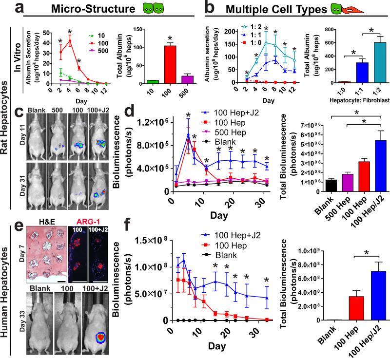 https://cdn.ncbi.nlm.nih.gov/pmc/blobs/408a/3660041/5c96525bdb96/nihms-466265-f0004.jpg