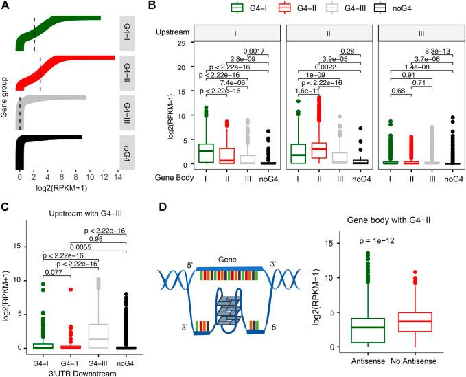 https://cdn.ncbi.nlm.nih.gov/pmc/blobs/408d/9452811/4e5e2940f3f8/fgene-13-957023-g003.jpg