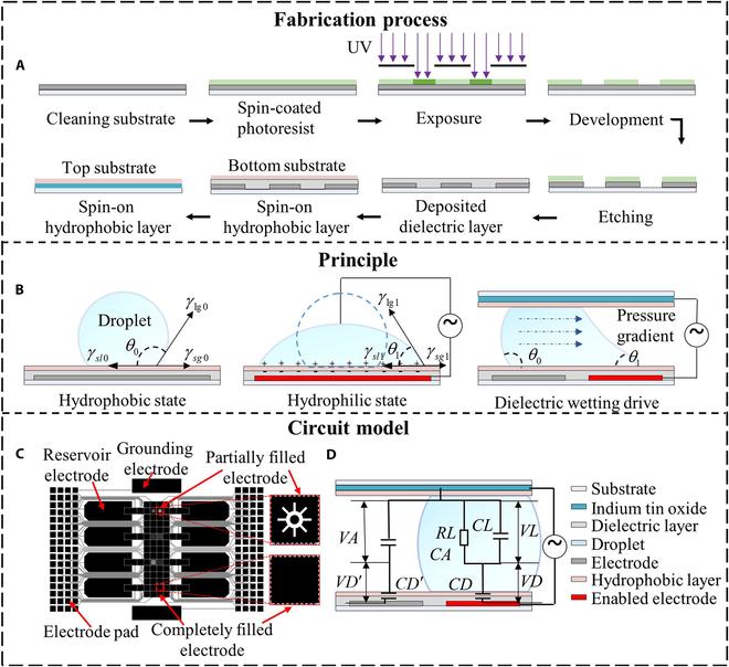 https://cdn.ncbi.nlm.nih.gov/pmc/blobs/408e/11884587/10bc5ccbd645/cbsystems.0217.fig.001.jpg