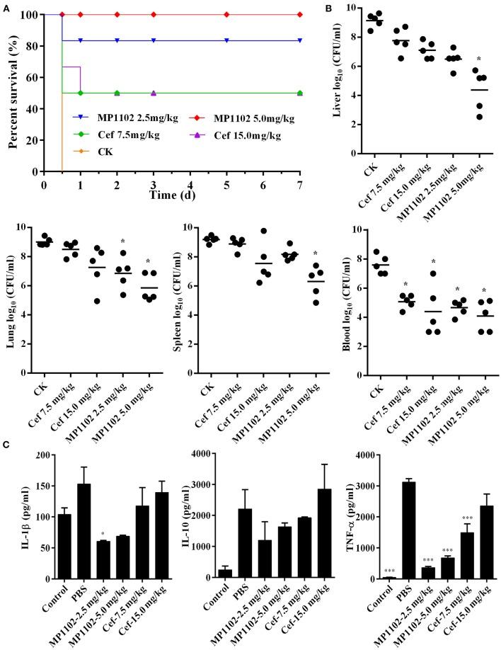 https://cdn.ncbi.nlm.nih.gov/pmc/blobs/408e/6399382/130b2496b80b/fcimb-09-00048-g0004.jpg