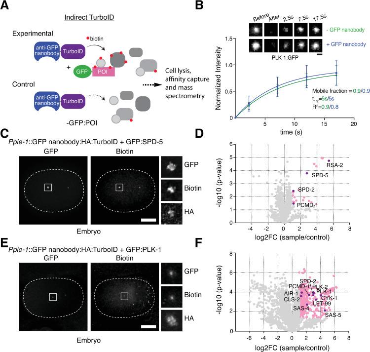 https://cdn.ncbi.nlm.nih.gov/pmc/blobs/408f/9020716/90143f55d2d6/pgen.1010150.g002.jpg