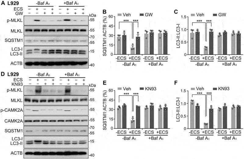 https://cdn.ncbi.nlm.nih.gov/pmc/blobs/408f/9037428/851de0bc89bf/KAUP_A_1954348_F0005_B.jpg