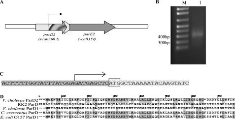 https://cdn.ncbi.nlm.nih.gov/pmc/blobs/4095/3001019/1ddb7a2eea66/zbc0031143330001.jpg